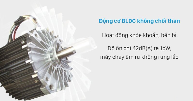 Máy rửa bát Độc Lập Fagor 3LVF-62SAI 13 Bộ