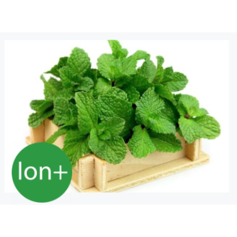 Máy rửa bát Âm Tủ Fagor 3LVF-63IT 15 Bộ