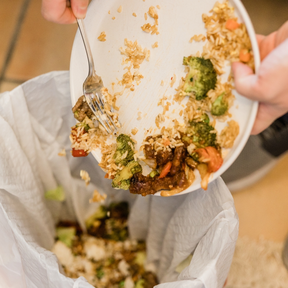 hướng dẫn sử dụng máy rửa bát teka