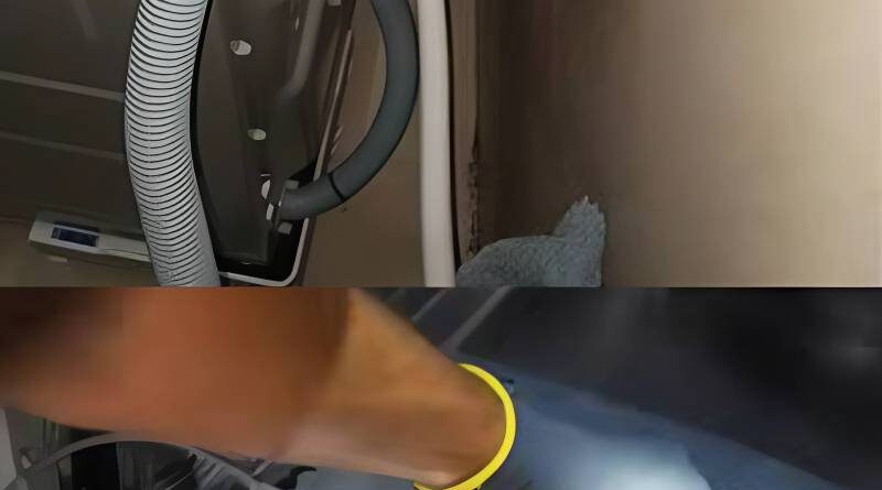 Khắc phục máy rửa bát không thoát nước